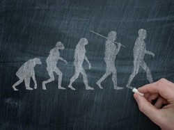 Ciri-ciri Fisik Homo Sapiens, Permukiman, dan Teknologi yang Digunakan