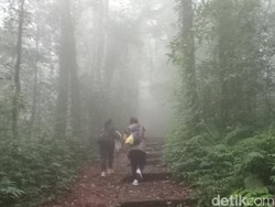 Bukan Indonesia, Surga Pendaki di Asia Tenggara Adalah Malaysia