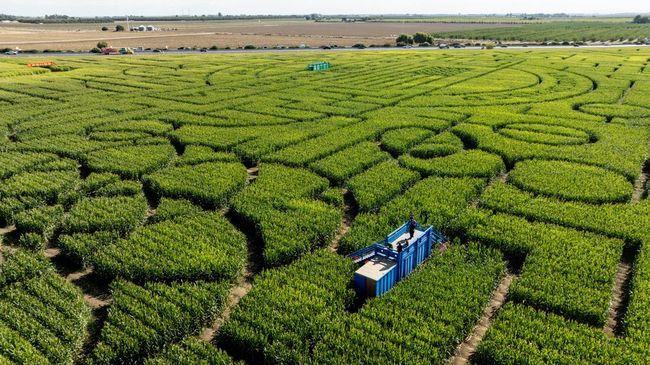 Pengunjung bisa merasakan ketika berkunjung ke The Forbidden Corner atau Sudut Terlarang, yang dijuluki sebagai "tempat atraksi wisata paling aneh di dunia".