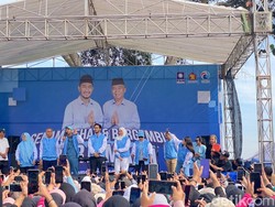 Kala Artis Ibukota Turun Gunung Kampanyekan Jeje di Pilkada KBB