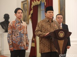 KLHK Dipecah, Sulaiman Umar Wamen Kehutanan, Diaz Hendropiyono Wamen Lingkungan Hidup
