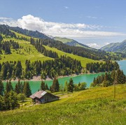 Dibayar Rp365 Juta untuk Pindah ke Negara Paling Aman dan Bahagia di Dunia, Tertarik?