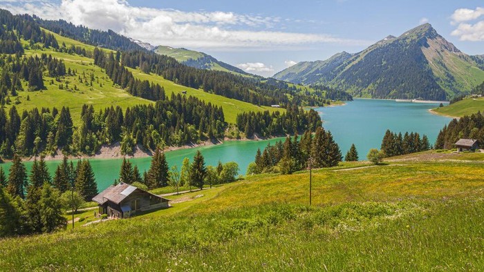 Dibayar Rp365 Juta untuk Pindah ke Negara Paling Aman dan Bahagia di Dunia, Tertarik?