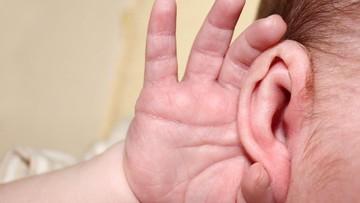 Hal yang perlu diperhatikan ketika mengajak anak konser