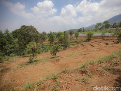 Cegah Alih Fungsi Lahan di KBU, Pemkot Bandung Ingin Perketat Perizinan
