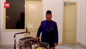 VIDEO: Prabowo Bawa Bobby si Kucing Kesayangan ke Istana