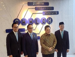Resmi Dilantik Prabowo, Wamen BUMN Bicara PR yang Belum Tuntas