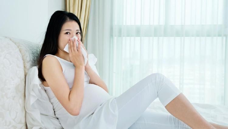 Gritte Agatha menceritakan pengalamannya sakit flu saat hamil anak pertama. Penasaran kisahnya dan bagaimana cara pengobatannya? Simak yuk Bunda ulasan berikut.