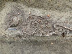 Kisah Kuburan Antivampir, Makam Anak dari Abad ke-13