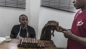 FOTO: Mengintip Pembuatan Cerutu Afrika di Mozambik