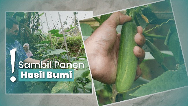 Niis di Kampung Tajur Purwakarta, Menginap di Suasana Pedesaan