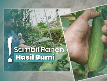 Niis di Kampung Tajur Purwakarta, Menginap di Suasana Pedesaan