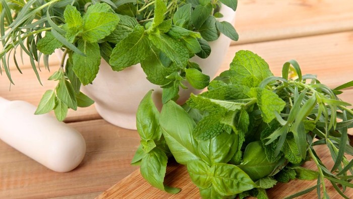 5 Tanaman Herbal yang Mudah Ditanam di Rumah, Tak Sekadar Cantik Tapi Bermanfaat!