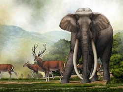 Arkeolog Ungkap Tengkorak Mamalia Terbesar di Bumi, Benarkah Gajah Purba Raksasa?