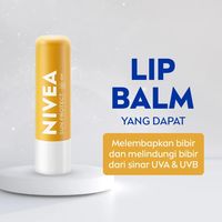 FICO D’INDIA Lippenpflege-Balsam Mit Lichtschutzfaktor SPF 15 – Pflegend Und Schützend