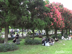 Kuliner Khas Lumajang yang Bisa Dicicipi Saat Berlibur