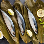 Ikan Ini Lebih Murah tapi Punya Kandungan Gizi yang Lebih Tinggi Dibanding Salmon