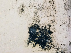 8 Cara Agar Ruangan di Dalam Rumah Tidak Lembap
