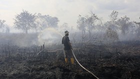 FOTO: Kebakaran Lahan Gambut di Aceh Barat, Hari ke-4 Api Belum Padam