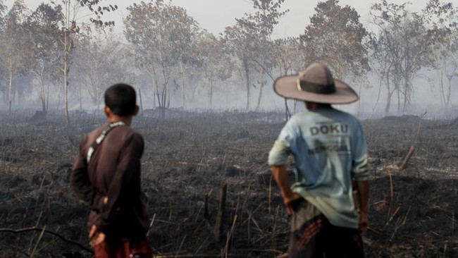 FOTO: Kebakaran Lahan Gambut di Aceh Barat, Hari ke-4 Api Belum Padam