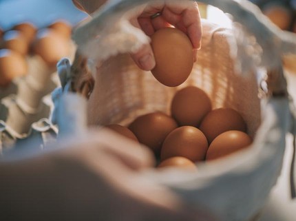 Alasan Tak Disarankan Mencuci Telur Sebelum Dimasak, Bisa Berbahaya Bun