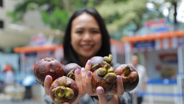 BRI Dorong Klaster Buah Manggis di Bali Perluas Jaringan Pemasaran