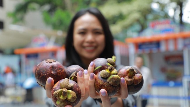 Dukungan pemberdayaan dari BRI terbukti menjadi dorongan besar bagi klaster Usaha Manggis Bhuana Sari di Melaya, Jembrana, Bali semakin berkembang.