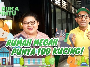 Rumah Mewah Nan Megah Aleta Molly, Punya 100 Ekor Kucing