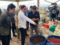 Menhut Raja Juli Susun Rencana 100 Hari Kerja untuk Dilaporkan ke Prabowo