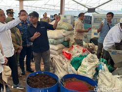 Menhut Raja Juli Sambangi Pusat Persemaian Rumpin, Serahkan Bibit ke Petani