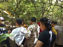 Penemuan Kerangka Manusia di Muba: Pembunuh Ditangkap