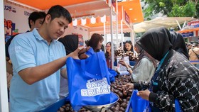 Cerita BRI Sukses Bikin Bisnis Klaster Petani Salak Sumut Berkembang