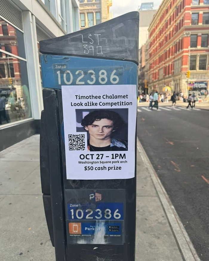 Kontes Timothée Chalamet