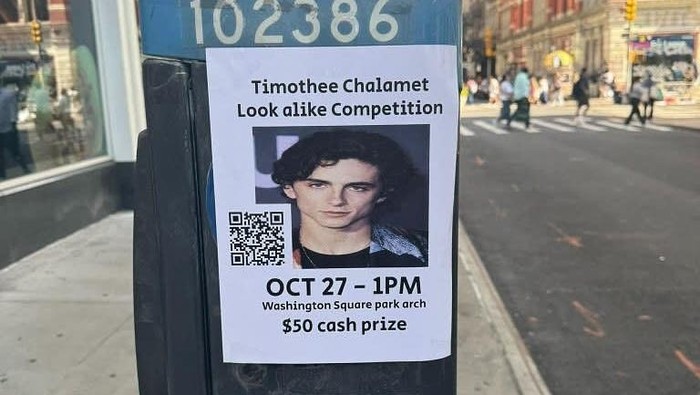 Kontes Timothée Chalamet