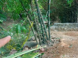 Cerita Warga soal Penemuan Mayat Bayi Terkubur di Kalikebo Klaten