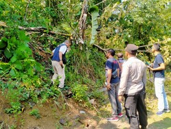 Emak-emak di Semarang Tewas Kesetrum Saat Singkirkan Pohon Timpa Kabel
