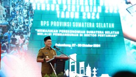 Pj Gubernur Elen Dorong Pemda Optimalkan Data BPS untuk Bangun Sumsel