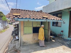 Cerita Warga soal Wanita Magelang Tinggal Bersama Bangkai Belasan Kucing