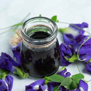 Kaya Manfaat untuk Kesehatan dan Kecantikan, Simak Khasiat Bunga Telang yang Jarang Diketahui