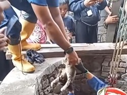 Warga Bogor Telepon Damkar Minta Evakuasi Kucing Jatuh ke Sumur