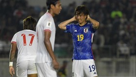 Kelakar Pemain Jepang: Saya Akan Tendang Verdonk di Pertandingan