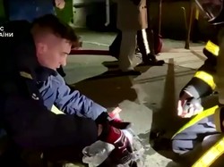 Video Seekor Kucing di Ukraina Selamat Seusai Terkena Ledakan Drone Rusia