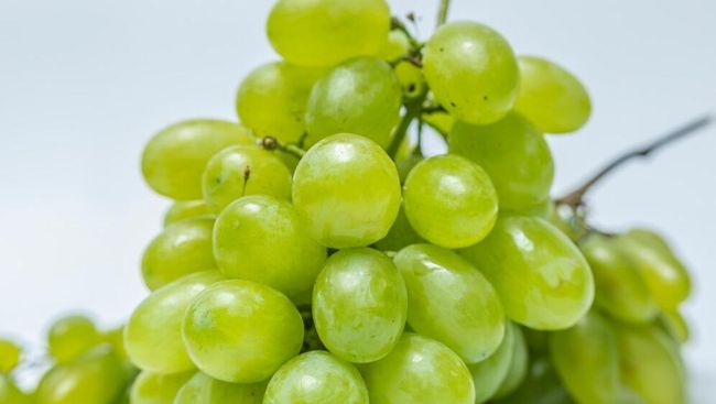 Mengungkap Bahaya Residu Pestisida pada Anggur Shine Muscat bagi Tubuh