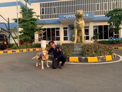 Suka Anabul, Pria Ini Pilih Jadi Pawang Anjing Pelacak Bea Cukai