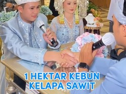 Pernikahan Viral Mas Kawin 1 Hektar Kebun Sawit, Ternyata Hoax, Ini Faktanya
