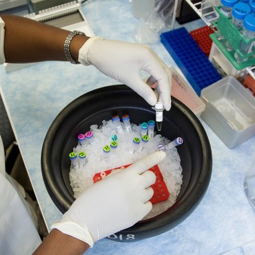Unlocking the Potential of Peptides in Muscle Cell and Bone Science
