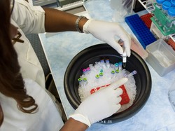 Peptides for Gastric Research: Molecular Potential and Implications