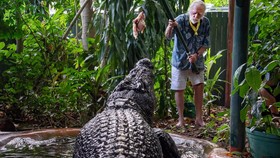 Buaya Terbesar di Penangkaran, Cassius Mati di Australia