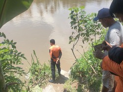 Wanita Disabilitas Diduga Hilang di Sungai Maloso Polewali Mandar