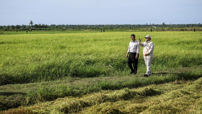 Mentan  melakukan peninjauan lahan, saluran irigasi dan kondisi pertanaman padi pada demplot 20 ha di Kampung Wanam di Papua Selatan.